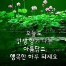 &#34;&#39;인왕산둘레길&#39;(숲길) 산책&#34;＜2024.12.11(수)＞ 이미지