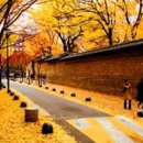 광화문 연가 이미지