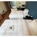 서울투어리스트호텔(SEOUL TOURIST HOTEL) | 1박 2일 정황동호텔 호캉스를 제대로 즐기고 온 후기