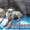 산곡로 이미지