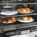 [홍콩/셩완] 가성비·위치 다잡은 아이클럽 AMTD 셩완 호텔 (iclub AMTD Sheung Wan Hotel) 내돈내산 후기
