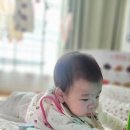 아름드리365소아청소년과의원 네이버블로그
