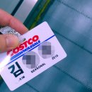 보상농산(주) | 코스트코 시즈널 사원 후기 : 지원 면접 업무내용 요약정리