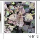 숨들 이미지