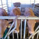 운호농장 이미지