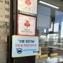 제주명품쑥보리빵 | 제주 기념품 추천 제주명품 쑥보리빵 후기