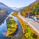 금당계곡블루마운틴 이미지