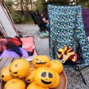 평화강변수목캠핑장 이미지