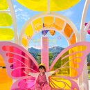 코스모스와 메밀가든 | 2025 포천 한탄강 가든 페스타 방문 후기