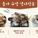 올가산지