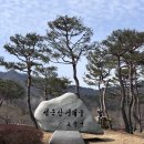 더좋은세상(전북총판) | [전북/고창] 선운사 가족나들이 &amp; 애견동반 코스 추천! (주차/폴바셋/체험정보 총정리)