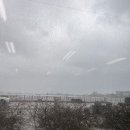 제주고가네 이미지