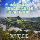 [필리핀] 클락3색 위더스호텔 12월~2월 3박5일 대구출발!!! 이미지