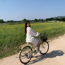 5월소비리스트 블라우스 후기 (프롬비기닝, 아노에틱)