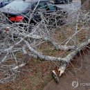 남부석유 연합뉴스