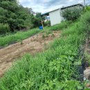 와촌면사무소 이미지