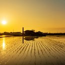 소반리 마을회관 이미지