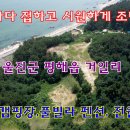 거일리 Daum카페