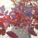 영농산업 이미지