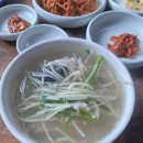 초원돈 | [부산 맛집] 초원 복국 내 돈 내먹 후기/김영삼 대통령 맛집/복지리탕/부산맛집추천