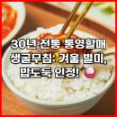서산약바위전통식품 | 30년 전통 통영할매 생굴무침: 겨울 별미, 밥도둑 인정!