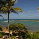 지상낙원 이미지