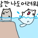 할랄마트 - 서구 건지로284번길 32-2 | 할랄마트