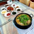 돌고래식당 이미지