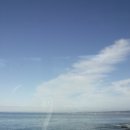 페블 비치 MONTEREY PEBBLE BEACH 관광 후기! 샌프란시스코 비치 바다 추천! 샌프란시스코 국제공항 후기!