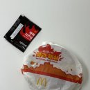 윤호네양꼬치 | 맥도날드 마라버거 맥크리스피 신메뉴 내돈내산 후기, 맥날 열정 어디까지..?