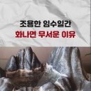 조용한 임수일간 화나면 무서운 이유 이미지
