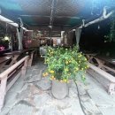 푸른숲식당 이미지