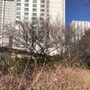 현풍옛날화로 이미지