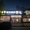 청춘애견 계룡점 이미지