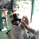 예쁜나의원 이미지