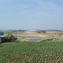 화원목장 이미지