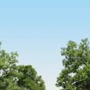 국회대로 이미지