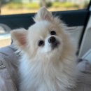 뚜니살롱 이미지