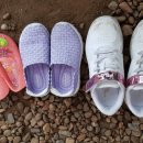 상가리농장 이미지