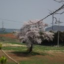 개나리목장 이미지