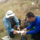 외동마님 이미지