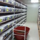 김준식농장 이미지