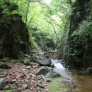 호수길걷기명상 이미지