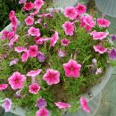 주변 사거리 이미지