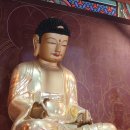 진주 연화사 목조 아미타여래좌상 | 진주 연화사 목조아미타여래좌상