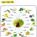 스포츠마사지 체형관리 바디케어 아로마마사지 경락경혈지압 통증관리 발관리 1인샵 세신사 목욕관리 이미지