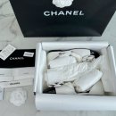 까멜리아 이미지