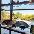 송학푸드 | [종로 가볼만한곳] 청와대 사랑채, 200% 즐기는 예약 꿀팁 &amp; 감성 포토존 케이팝 데몬헌터스