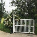 별이네민박 이미지