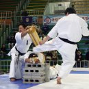 극진공수도 이미지